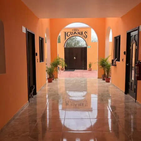 Tres Iguanas Apart Hotel - New, Cozy & Spacious Flats, Short Walk To Beach Loreto  Exterior foto