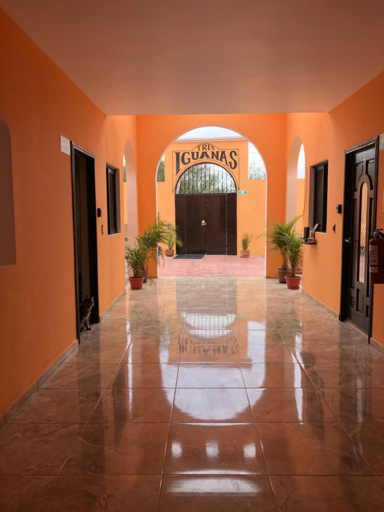 Tres Iguanas - New, Cozy & Spacious Flats, Short Walk To *