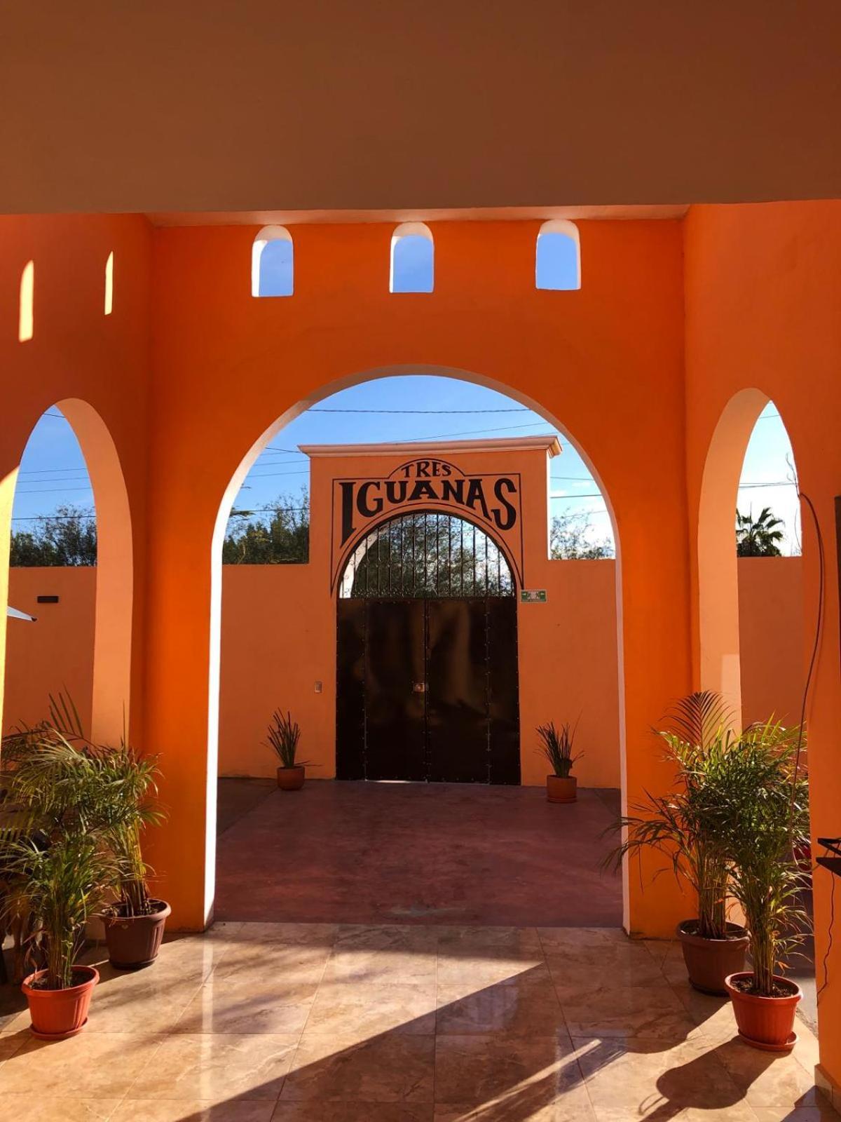 Tres Iguanas - New, Cozy & Spacious Flats, Short Walk To * Loreto (Baja California Sur)