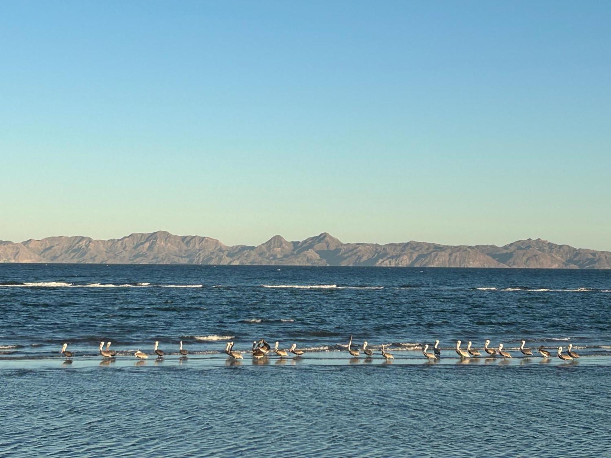 Tres Iguanas - New, Cozy & Spacious Flats, Short Walk To * Loreto (Baja California Sur)