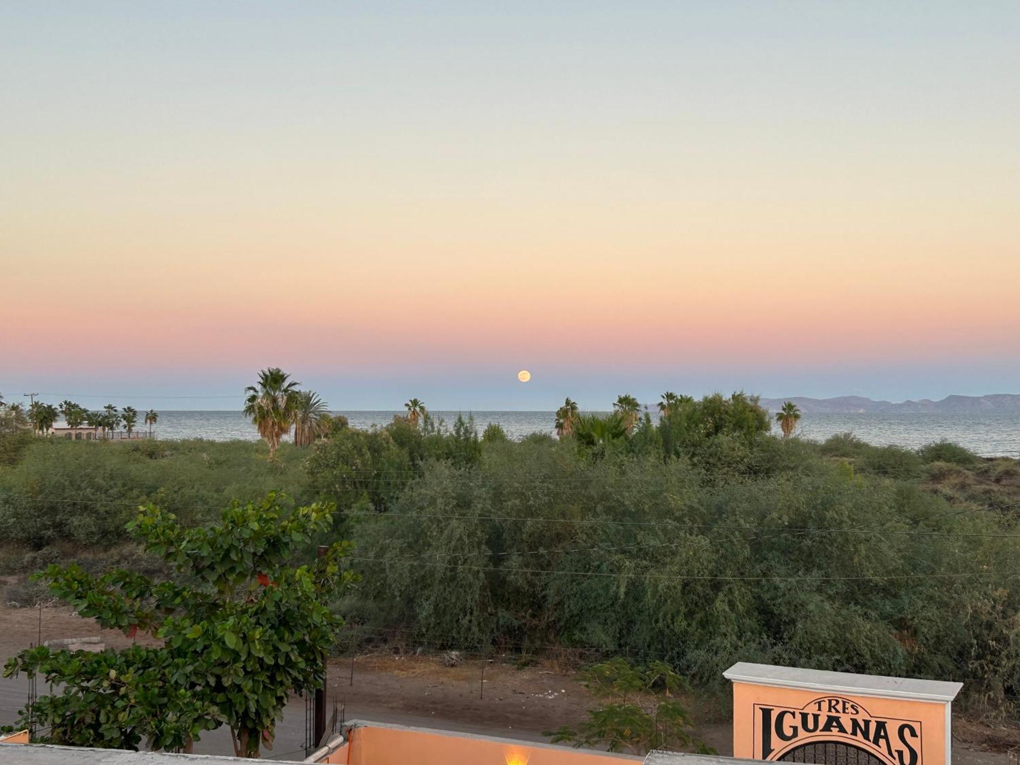 Tres Iguanas - New, Cozy & Spacious Flats, Short Walk To Apartment